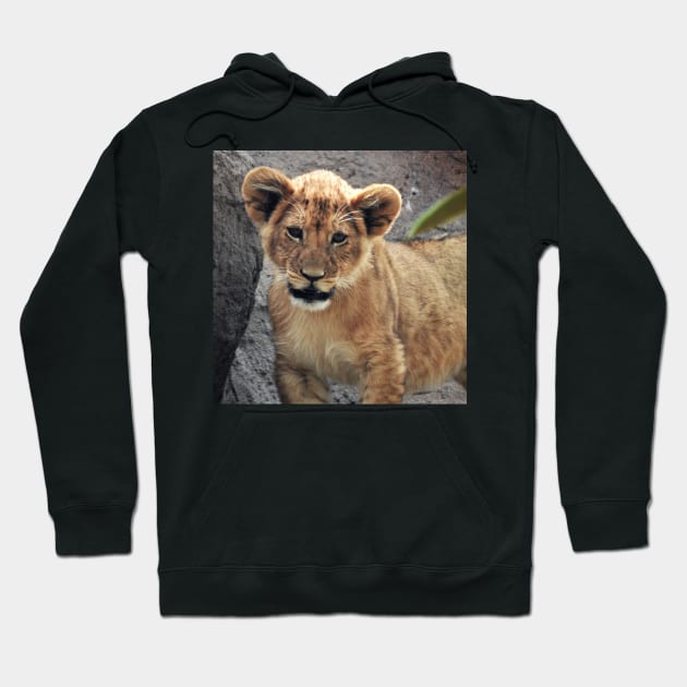 Lion Cub Hoodie by kirstybush